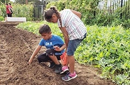 Indigenous wellness and diabetes education programming
